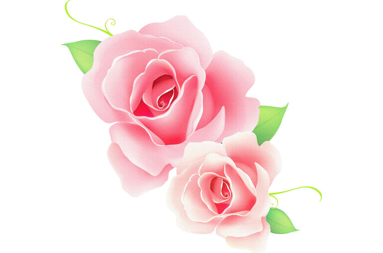 flower0239