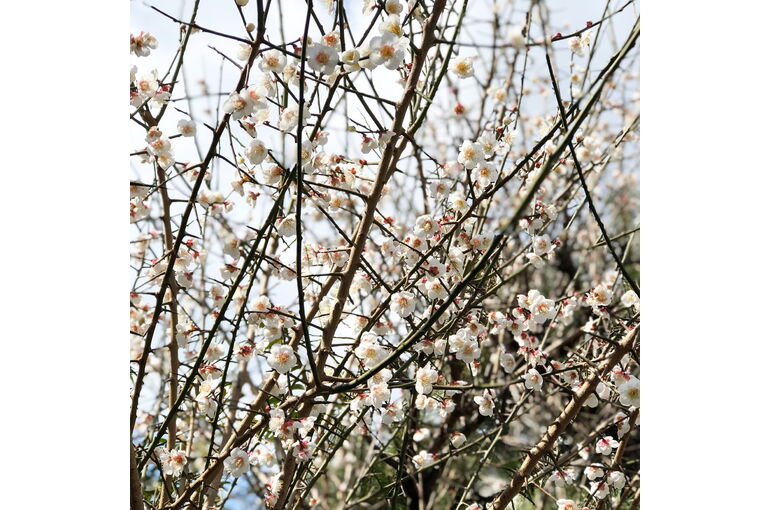 B84AB971-A44D-4914-B822-9F7C7D5E8399