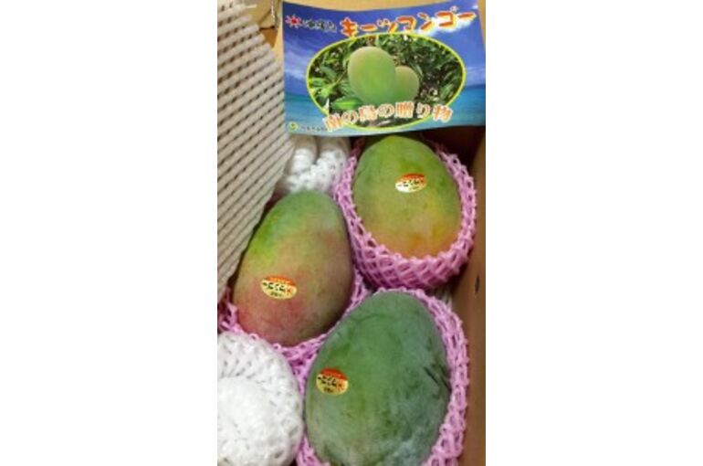 mango-173x300