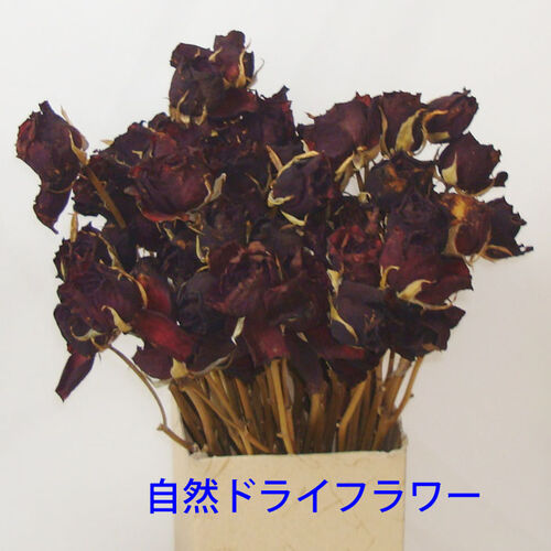 工程1