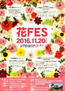 hana-fes